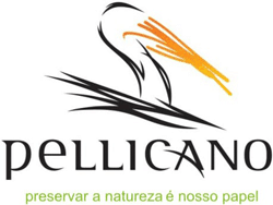 identidade visual papeis pellicano